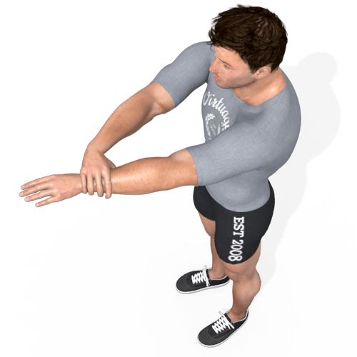 Scapula Pull One Arm Video Exercise Guide