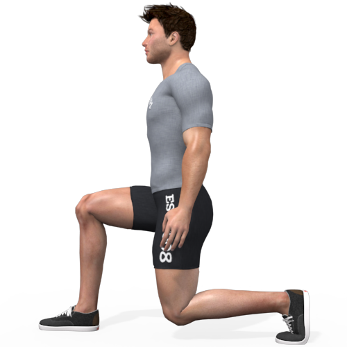 Star Lunge Video Exercise Guide