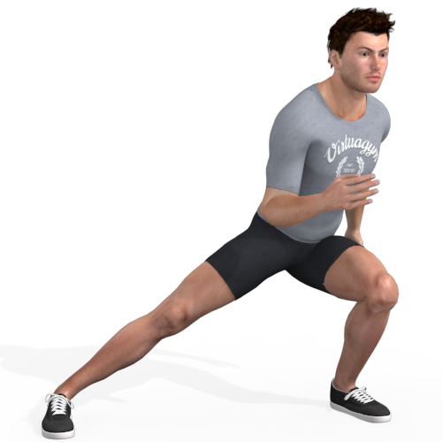 Lateral Lunge Video Exercise Guide