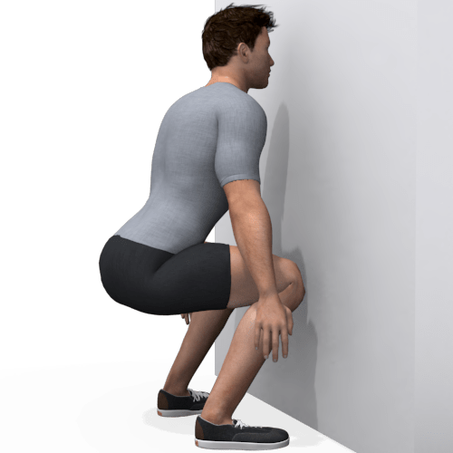 Wall Wall Squat Face Forward Video Exercise Guide