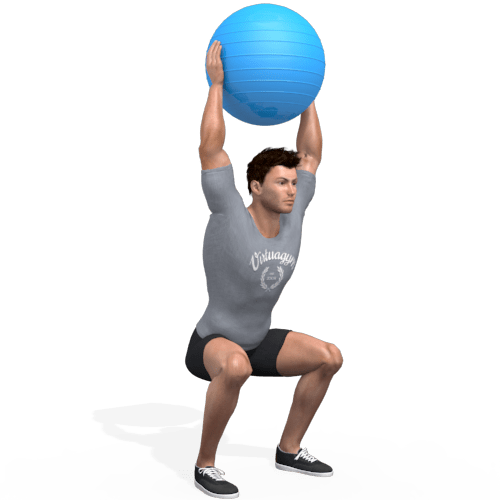 Exercise Ball Overhead Squat FB Video Exercise Guide