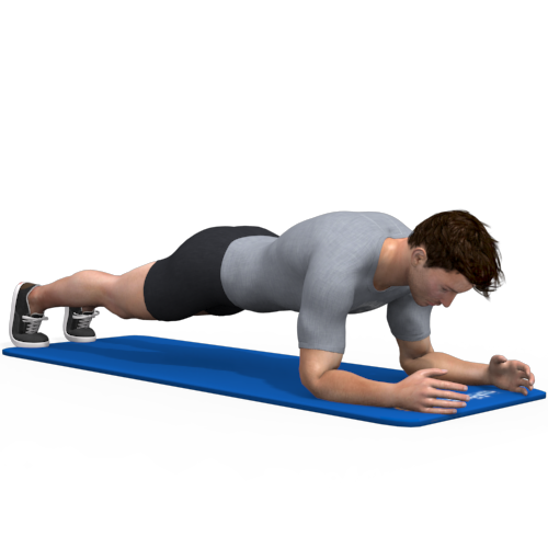 Plank Static Video Exercise Guide