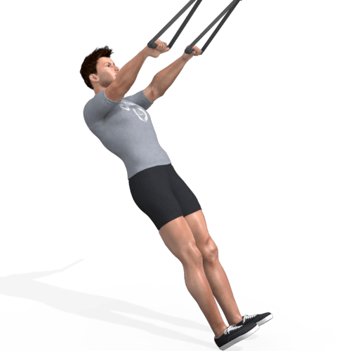 Suspension Trainer Scapula Pull Video Exercise Guide