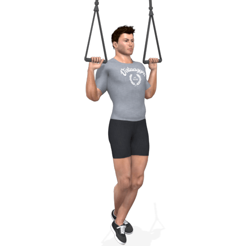 Suspension Trainer Pull Up Video Exercise Guide