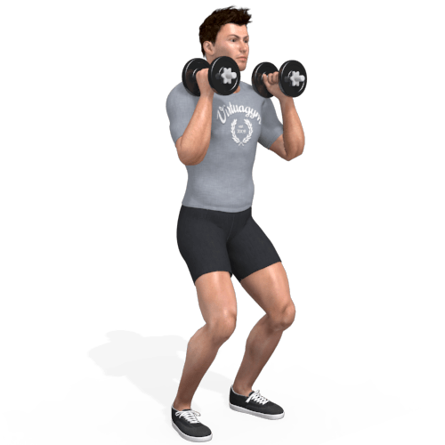 Dumbbells Push Press Video Exercise Guide