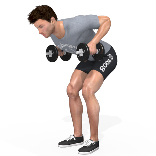 Dumbbells Bent Over Row Video Exercise Guide 