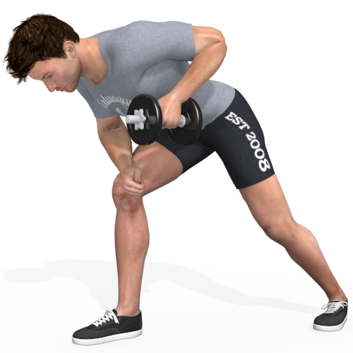 Dumbbells Bent Over Row Supported Video Exercise Guide 