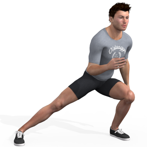 Lateral Star Lunge Video Exercise Guide