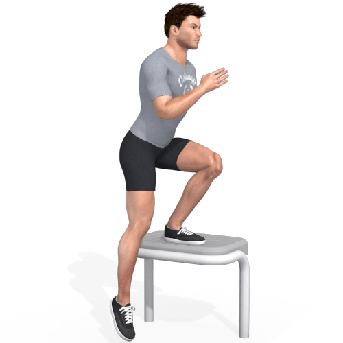 Aerobic Step Single Leg Squat Video Exercise Guide
