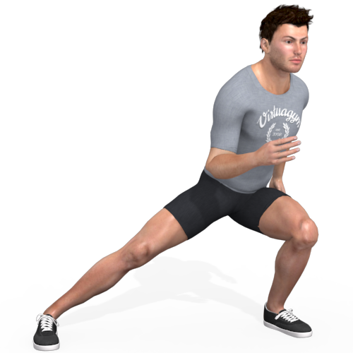 Lateral Lunge (alternating) Video Exercise Guide