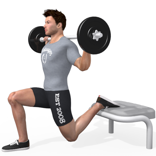 Barbell Bulgarian Split Squat Video Exercise Guide