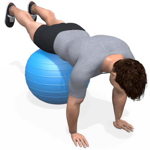 Exercise Ball Pushup Upper Legs On Video Exercise Guide
