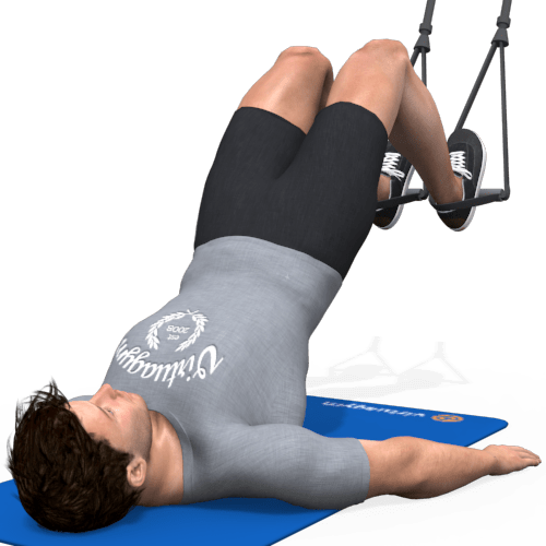 Suspension Trainer Hamstring Curl Video Exercise Guide