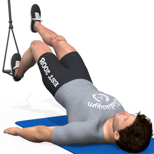 Suspension Trainer Hamstring Curl One Leg Video Exercise Guide