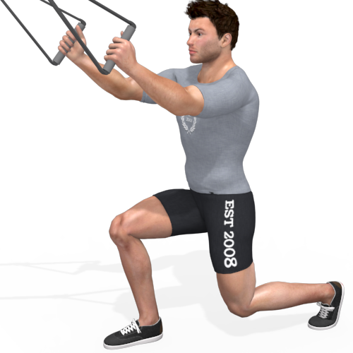 Suspension Trainer Reverse Lunge Video Exercise Guide