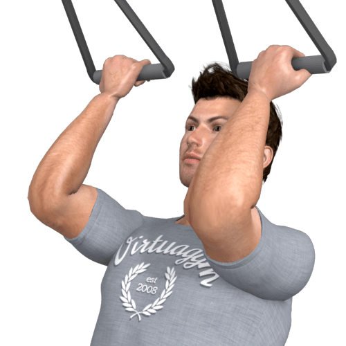 Suspension Trainer Biceps Curl Video Exercise Guide