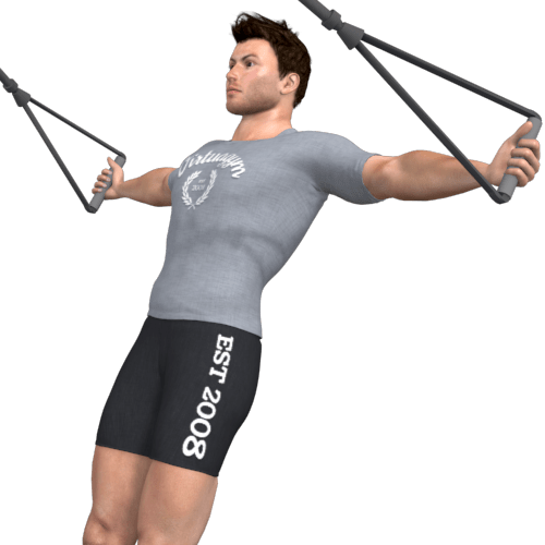 Suspension Trainer Reverse Fly Video Exercise Guide