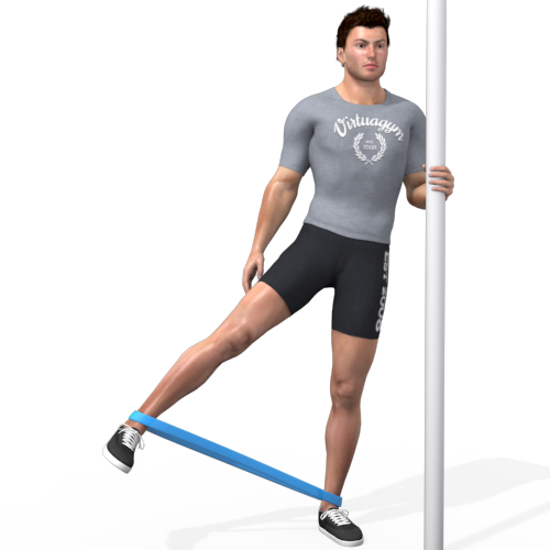 Resistance Band Hip Abduction Standing Assisted Video Exercise Guide 8640