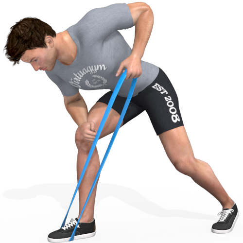 Resistance Band Bent Over Row Video Exercise Guide 