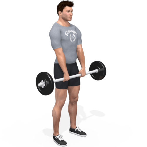 Barbell Stiff Legged Deadlift Video Exercise Guide