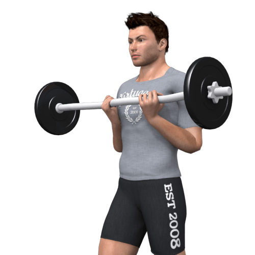 Barbell Biceps Curl Standing Video Exercise Guide