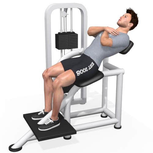 back-extension-machine-video-exercise-guide