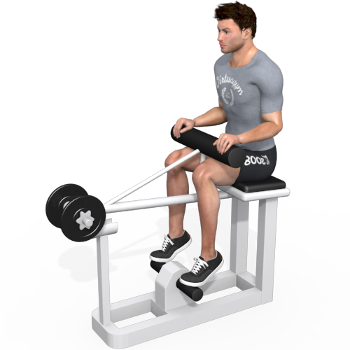 Calf Raise Machine Seated Video Exercise Guide 3513