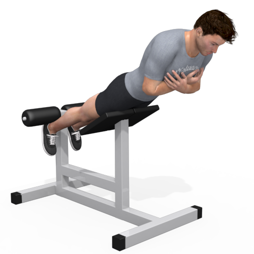 Hyperextension High Video Exercise Guide