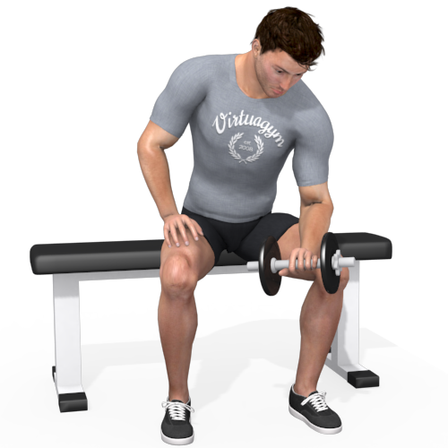 Dumbbells Wrist Extension Video Exercise Guide