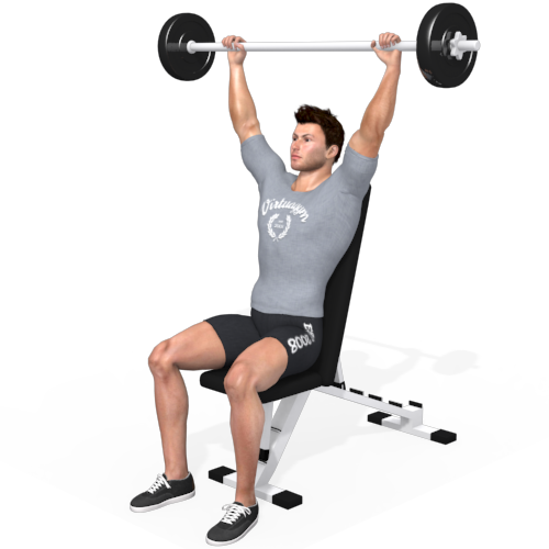 Barbell Shoulder Press Seated Video Exercise Guide