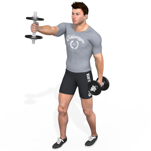 Dumbbells Front Raise (alternating) Video Exercise Guide