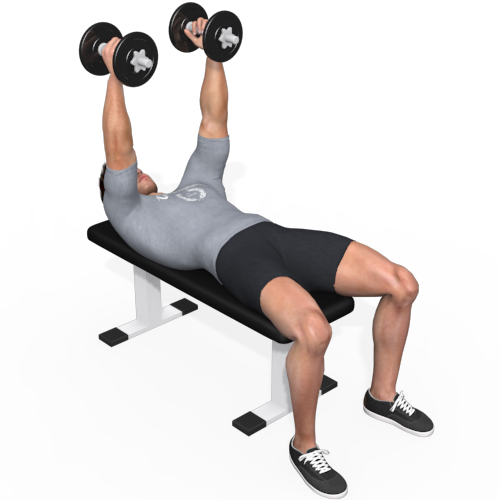 Dumbbells Bench Press Neutral Grip Video Exercise Guide