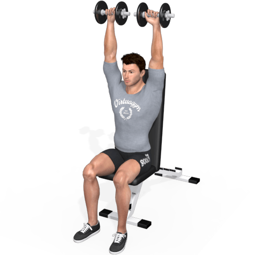 Dumbbells Shoulder Press Seated Video Exercise Guide