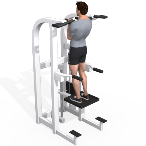 Assisted Standing Pull Up Neutral Grip Video Exercise Guide