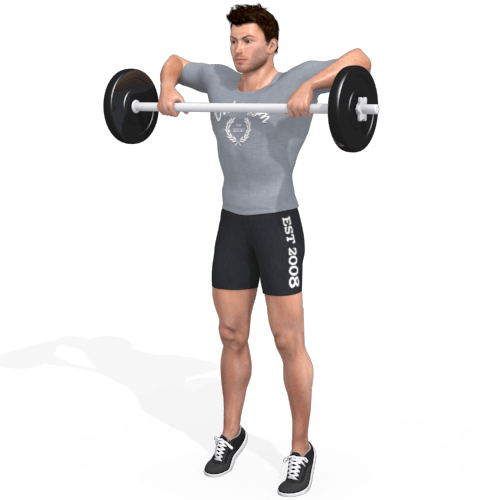 Barbell Power Pull Video Exercise Guide