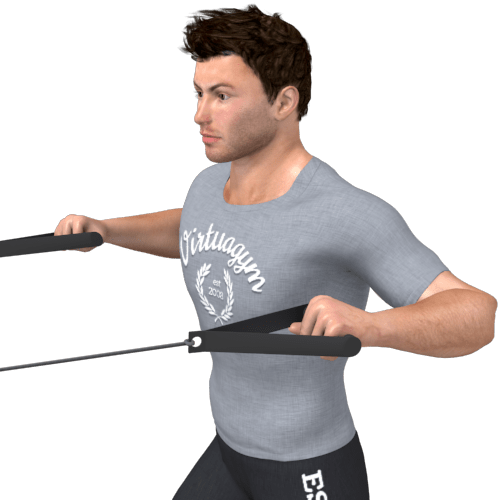 Pulley Row Standing Video Exercise Guide