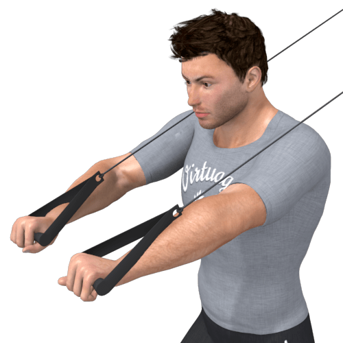 Pulley Chest Press Standing Video Exercise Guide