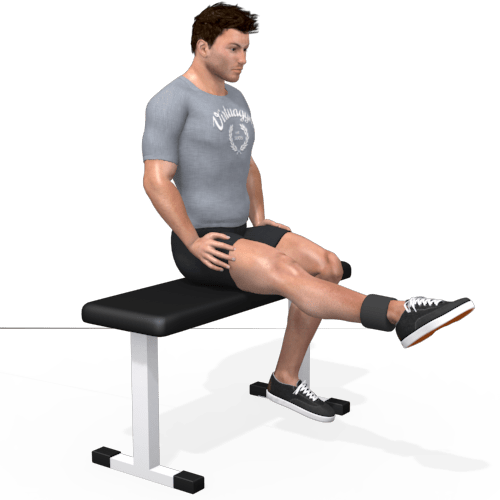 Pulley Leg Extension Seated Video Exercise Guide
