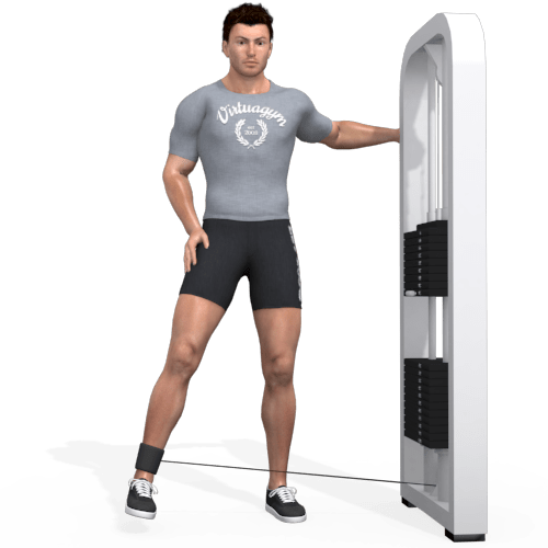 Pulley Hip Abduction Standing Video Exercise Guide