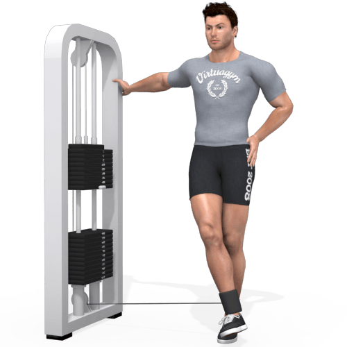 Pulley Adduction Leg Standing Video Exercise Guide