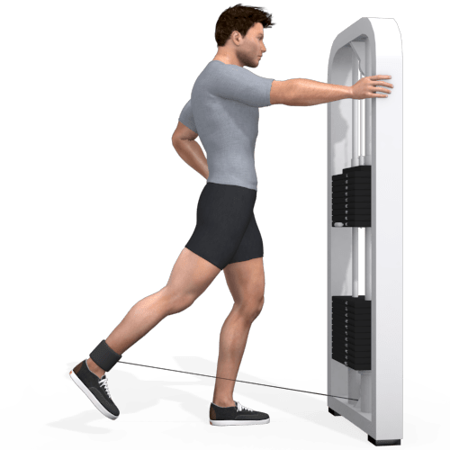 Pulley Hip Extension Standing Video Exercise Guide