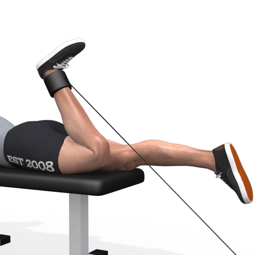 Pulley Hamstring Curl Lying Video Exercise Guide