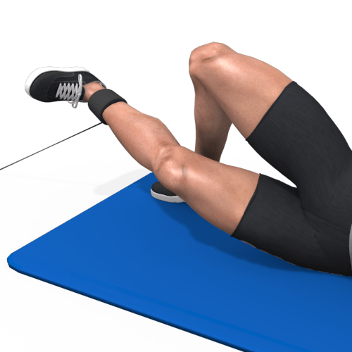 Pulley Adduction Leg Lying Video Exercise Guide
