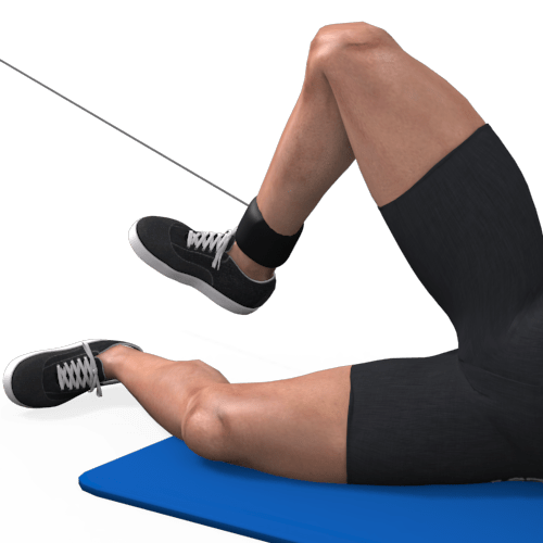 Pulley Pull In Bent Leg Lying Video Exercise Guide