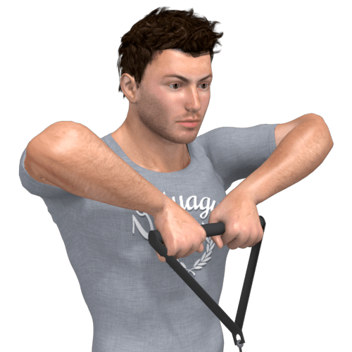 Pulley Upright Row Standing Video Exercise Guide