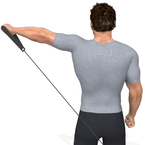 Pulley Lateral Raise Behind Back Video Exercise Guide