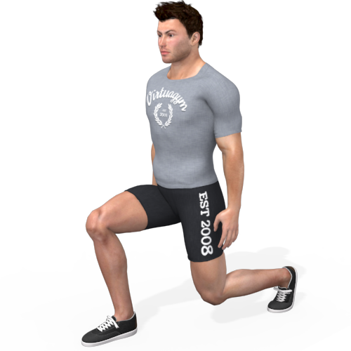 Reverse Lunge Video Exercise Guide