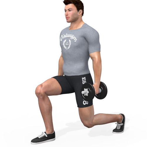 Dumbbells Reverse Lunge Video Exercise Guide