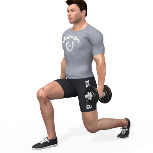 Dumbbells Reverse Lunge (alternating) Video Exercise Guide