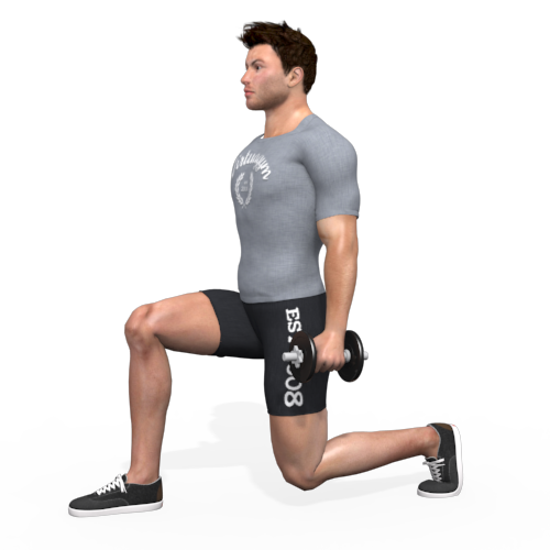 Dumbbells Lunge (alternating) Video Exercise Guide